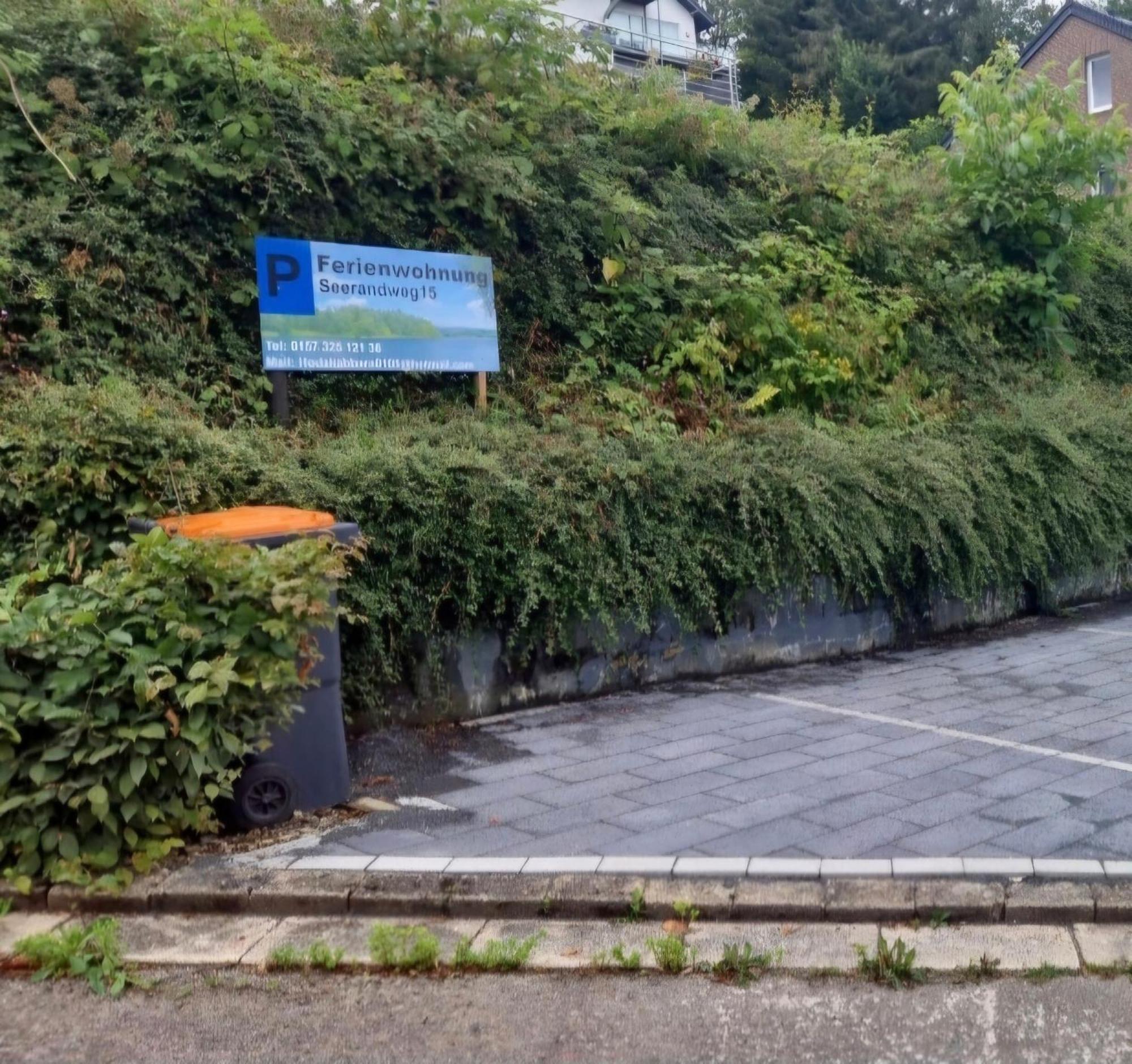 Ferienwohnung Seerandweg Simmerath Buitenkant foto